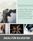 noms+ 10% CBD Tropfen für Hunde