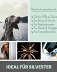 noms+ 10% CBD Tropfen für Hunde
