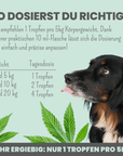 noms+ 10% CBD Tropfen für Hunde