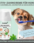 Noms+ Enzymodent Zahnpasta für Hunde