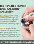 Noms+ Enzymodent Zahnpasta für Hunde