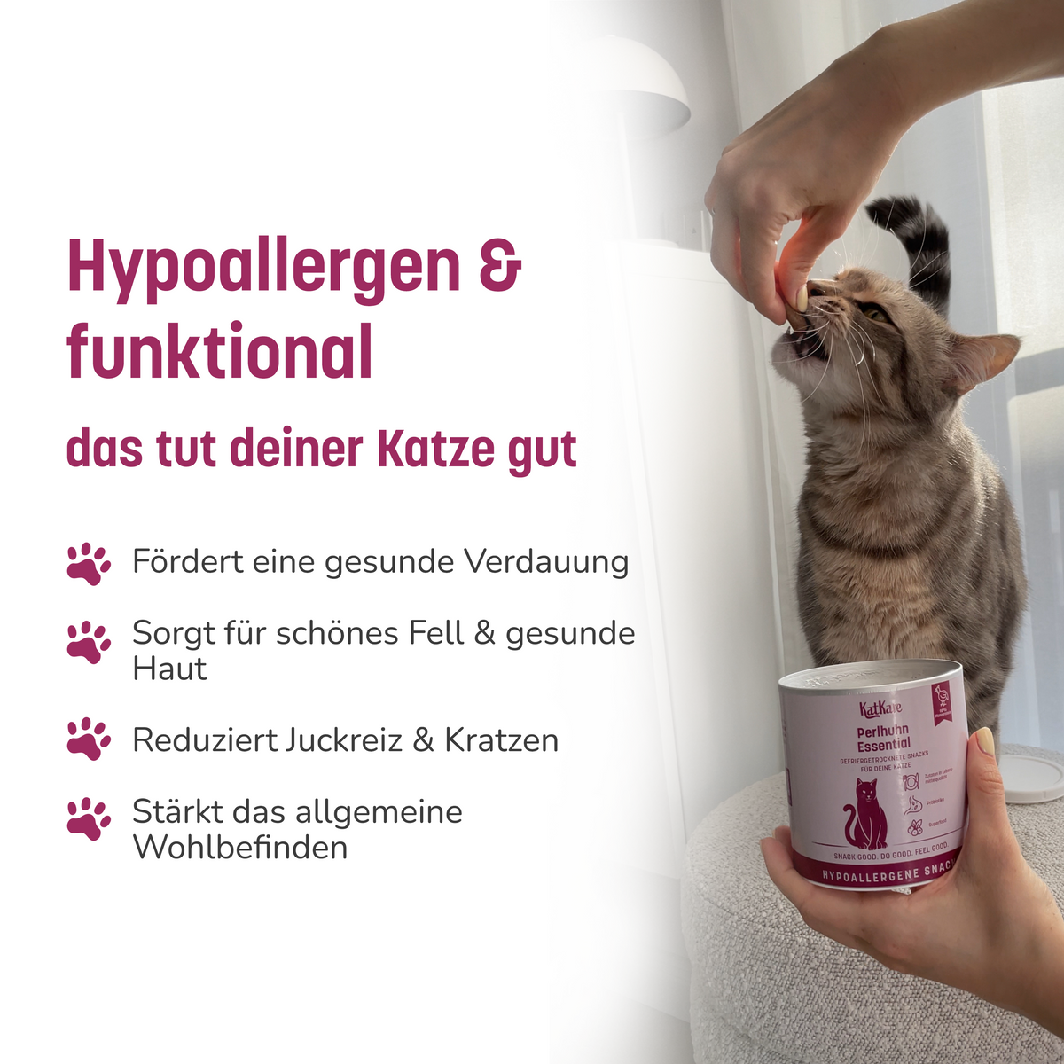 KatKare Hypo Snack Box – Produktbild 6