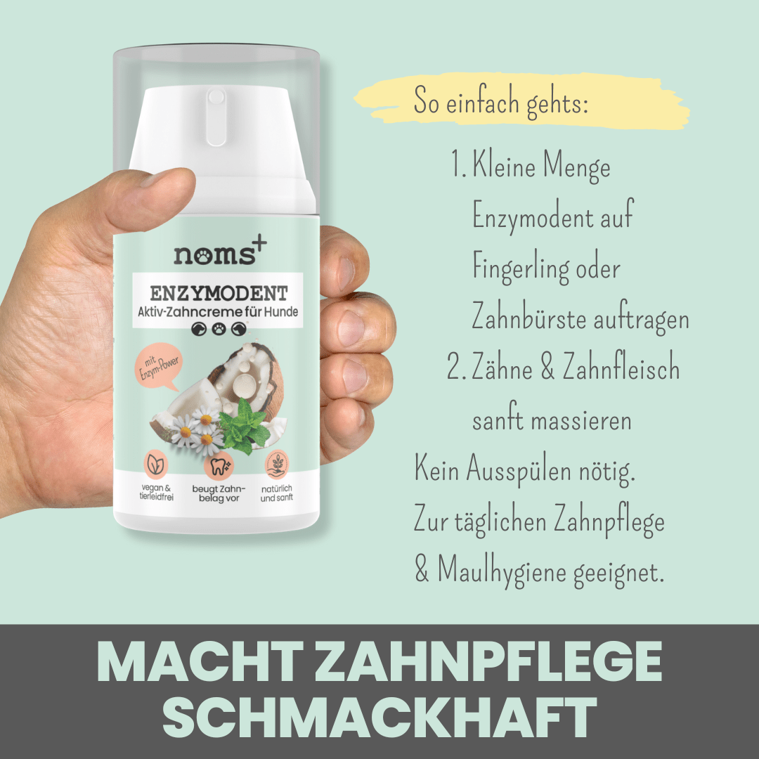 noms+ Enzymodent: Enzymatische Zahnpasta für Hunde mit natürlicher Pflege- und Präventionsformel