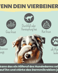 noms+ Probio Belly Snacks für Hunde mit BIOTICS³-Komplex: Präbiotika, Probiotika & Postbiotika