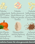 noms+ Probio Belly Snacks für Hunde mit BIOTICS³-Komplex: Präbiotika, Probiotika & Postbiotika