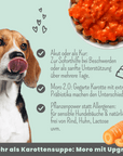 noms + Präbio Belly Akut: pflanzenbasierte Darmkur für Hunde nach Moro-Art