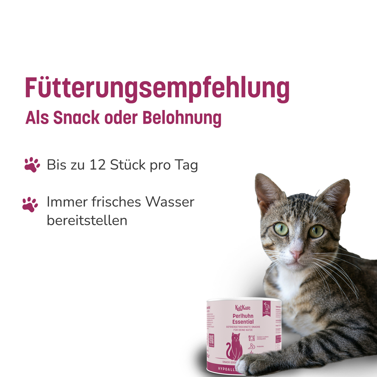 KatKare Hypo Snack Box – Produktbild 8