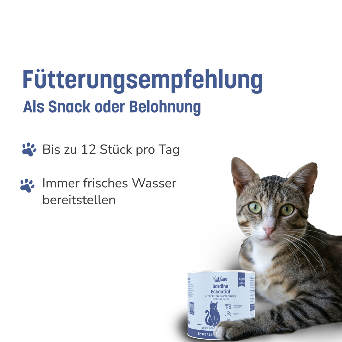 KatKare Hypo Snack Box – Produktbild 11