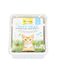 GimCat Soft-Gras Katzengras in der 100-g-Schale