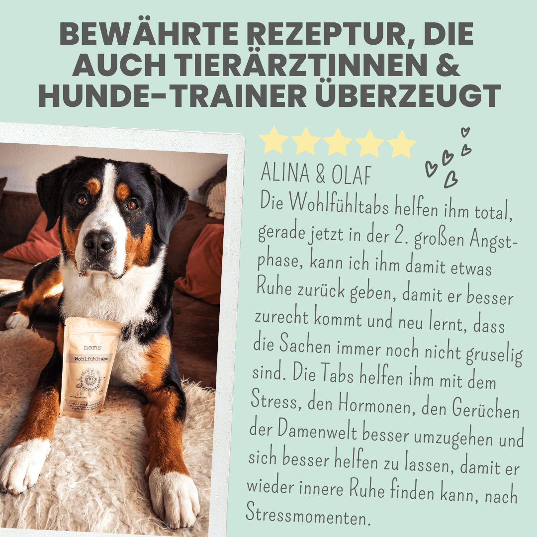 noms+ Wohlfühltabs für Hunde bei Stress, Angst, Unruhe und Hyperaktivität