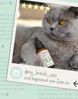 noms+ Zpot-on für Katzen gegen Zecken, Flöhe, Milben & Mücken [Jahresvorrat]