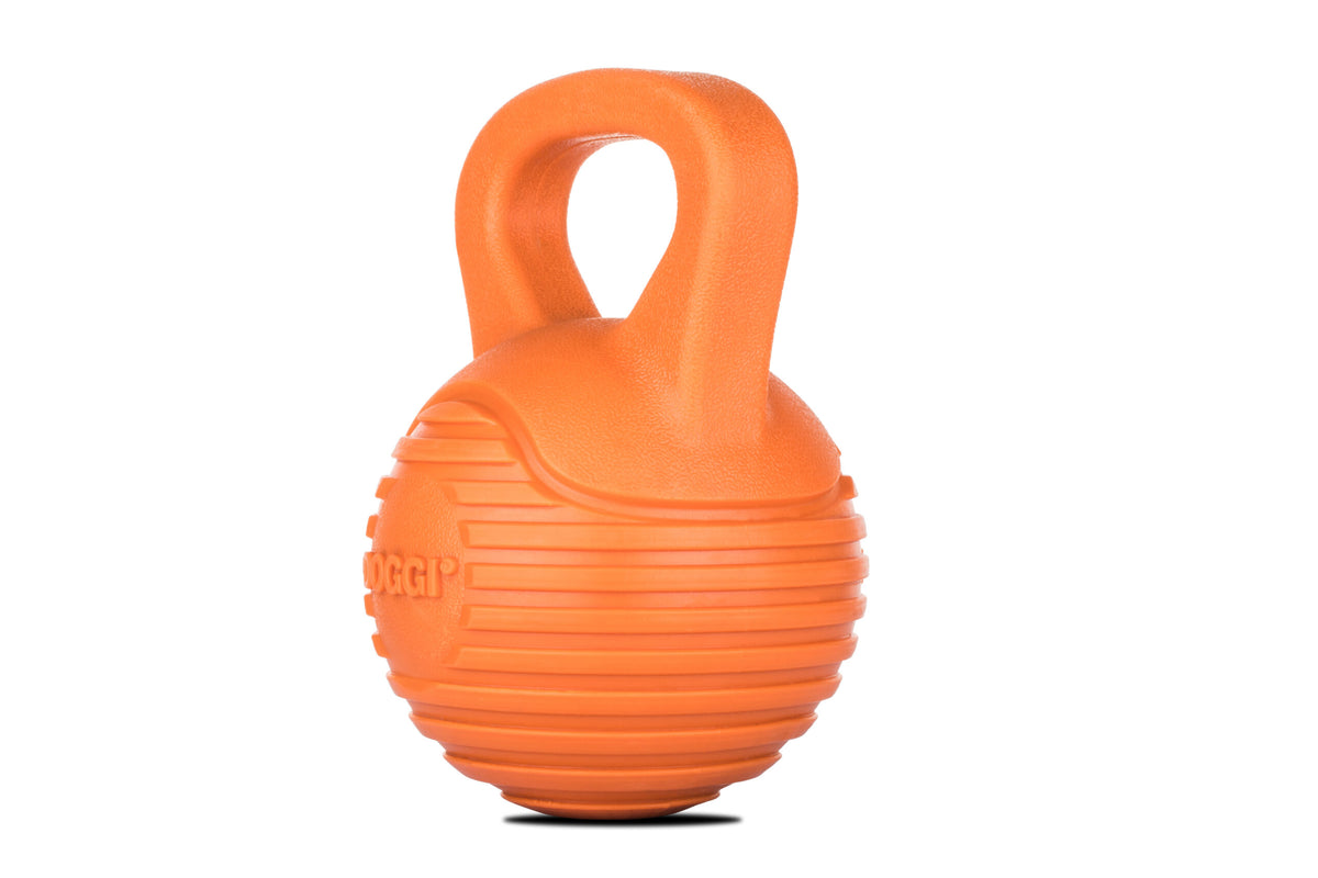 Design 4Pets DOGGI Hundespielzeug Dumbbell