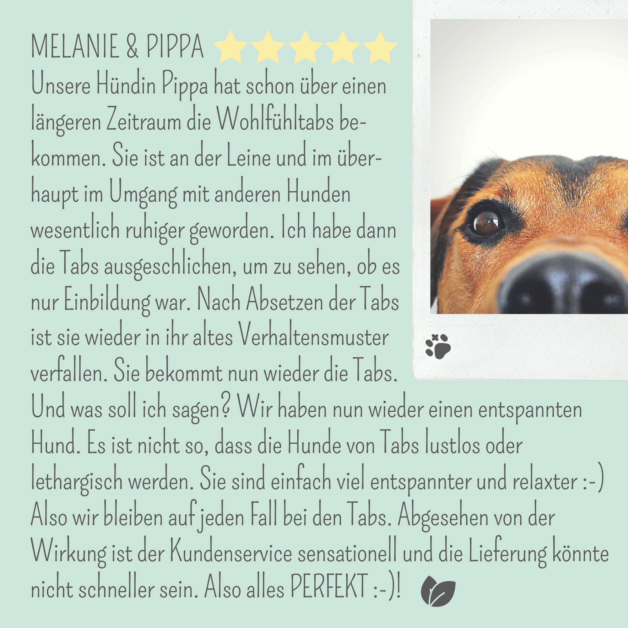 noms+ Wohlfühlmix für Hunde &amp; Katzen bei Stress, Angst, Unruhe &amp; Hyperaktivität