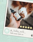 noms+ Zpot-on für Hunde gegen Zecken, Flöhe, Milben & Mücken [Jahresvorrat]