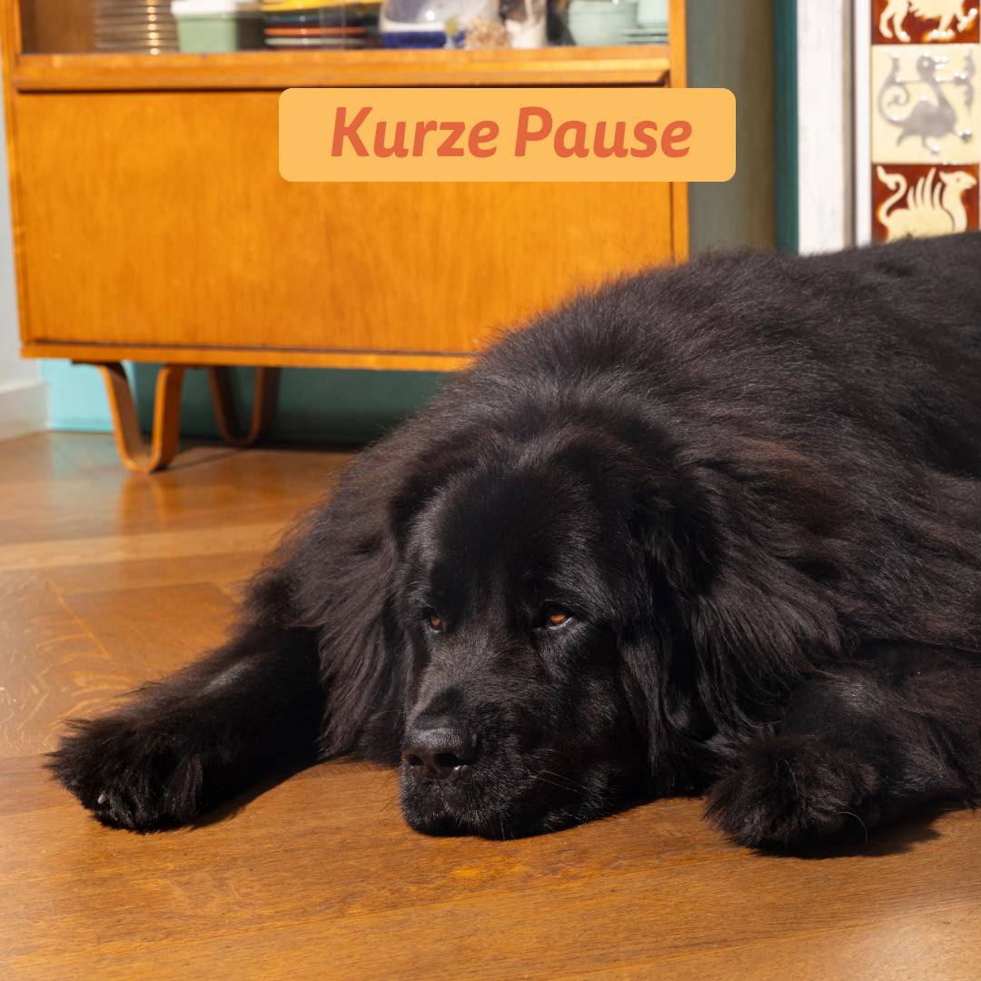 Edgard Cooper Hund Frisches Huhn L