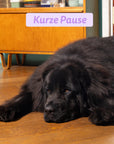 Edgard & Cooper Hund Frische Ente L