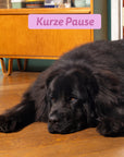 Edgard & Cooper Hund Frischer Hirsch & Ente M