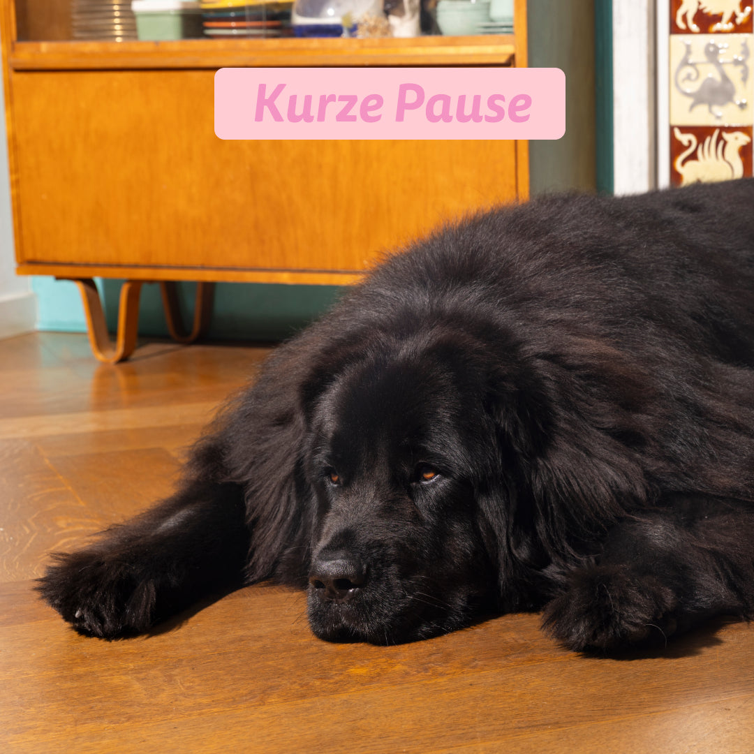 Edgard Cooper Hund Frische Ente &amp; Huhn L Junior