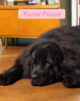 Edgard Cooper Hund Frische Ente & Huhn L Junior