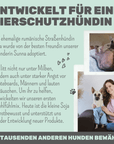 noms+ Wohlfühltabs für Hunde bei Stress, Angst, Unruhe und Hyperaktivität