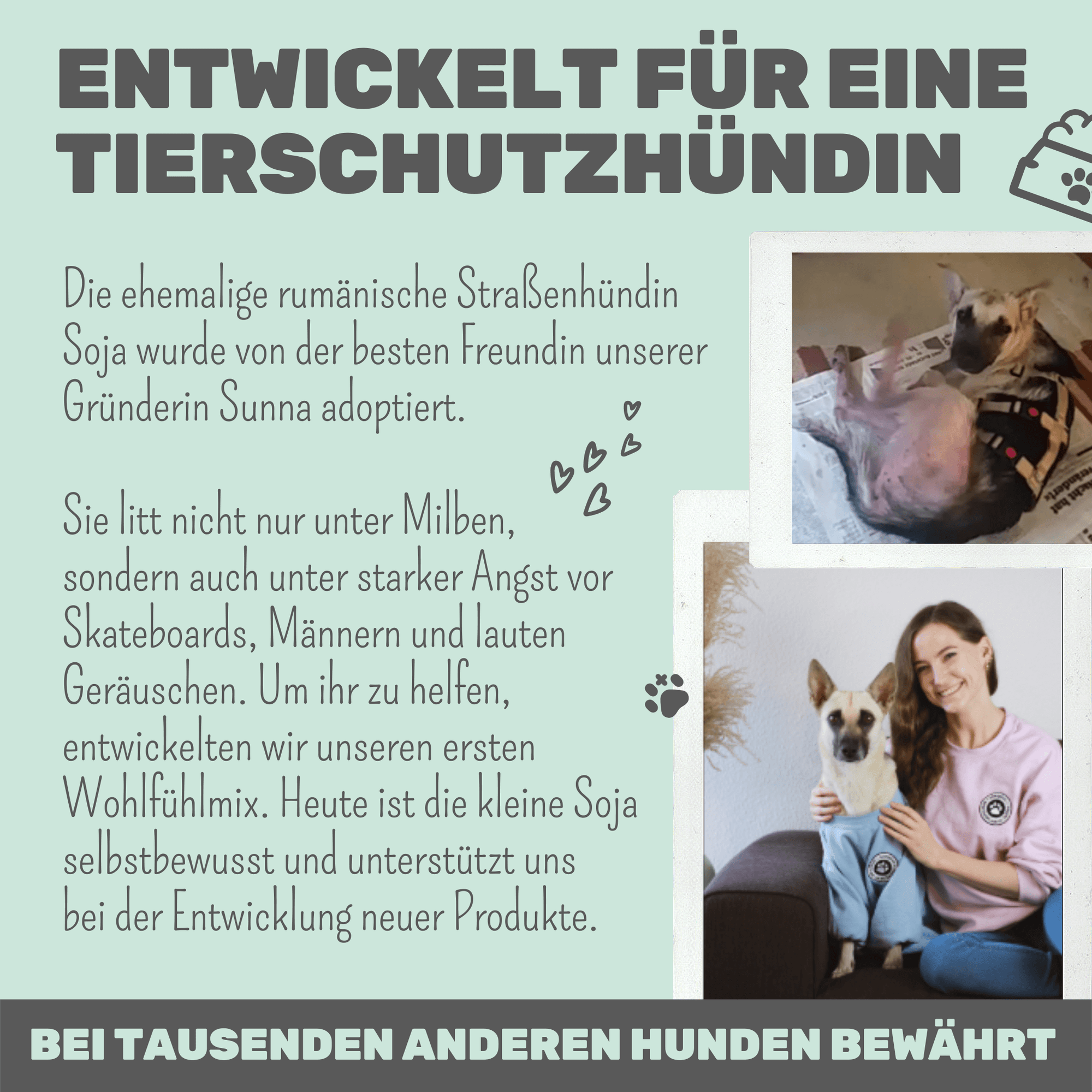 noms+ Wohlfühlmix für Hunde &amp; Katzen bei Stress, Angst, Unruhe &amp; Hyperaktivität