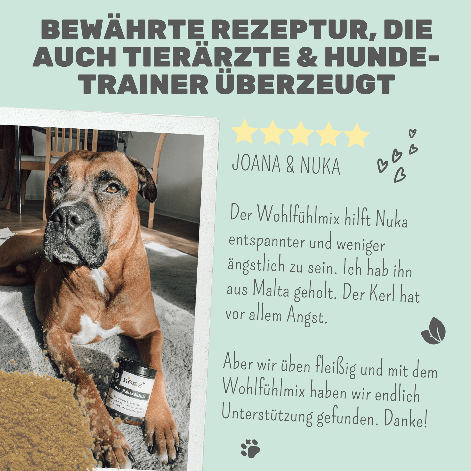 noms+ Wohlfühlmix für Hunde &amp; Katzen bei Stress, Angst, Unruhe &amp; Hyperaktivität