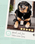 noms+ Zpray für Hunde gegen Zecken, Flöhe, Milben & Mücken [Jahresvorrat]