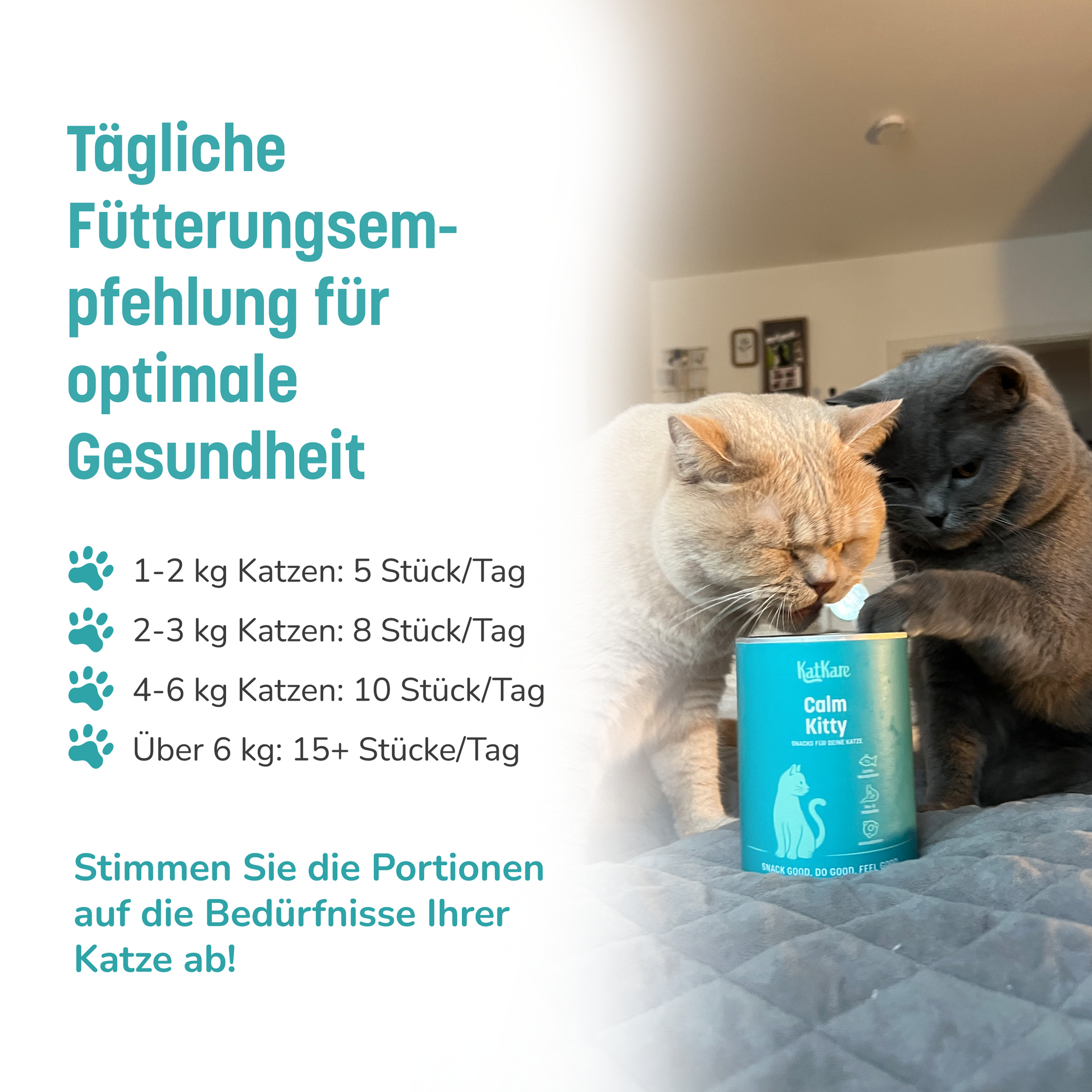 KatKare - Calm Cat - Vital Snack zur natürlichen Beruhigung deiner Katze (150 g)