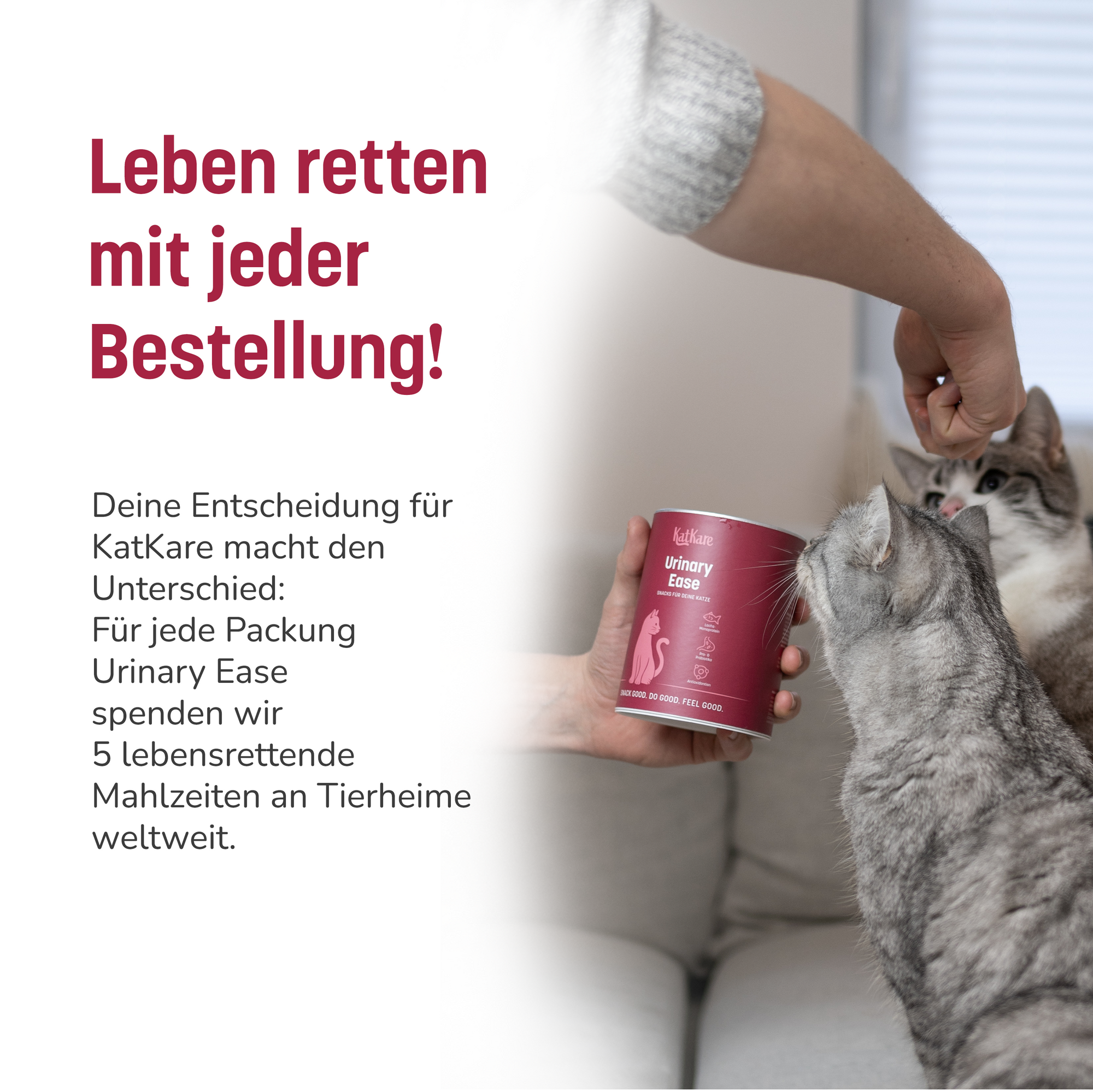 KatKare - Urinary Ease - Vital Snacks für die Unterstützung des Harnsystems deiner Katze (150 g)