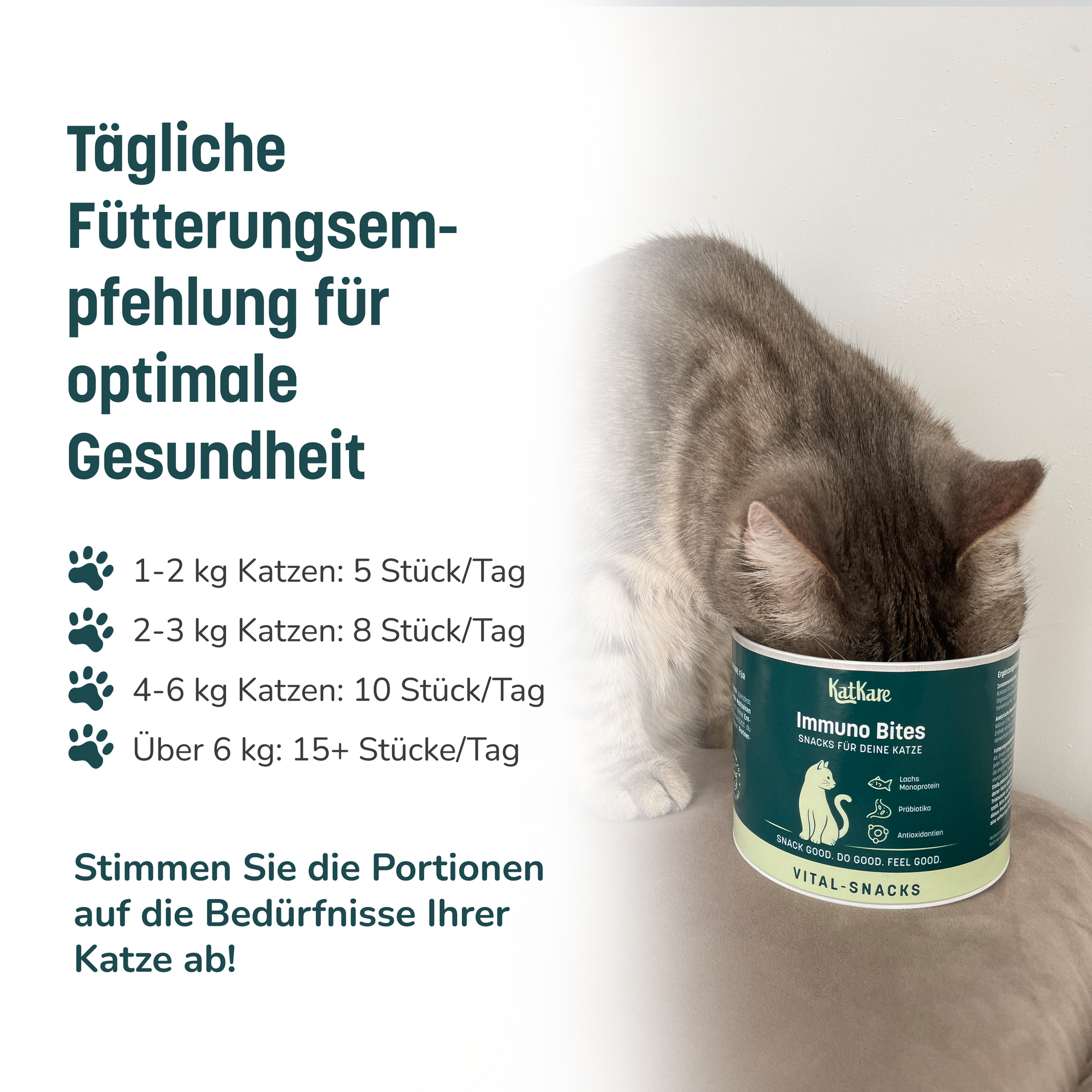 KatKare - Immuno Bites - Vital Snack zur Stärkung des Immunsystems deiner Katze (150 g)