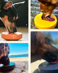 Einsteiger-Set BOGGL® M für große Hunde (15-30 kg): Schleckspielzeug + Form
