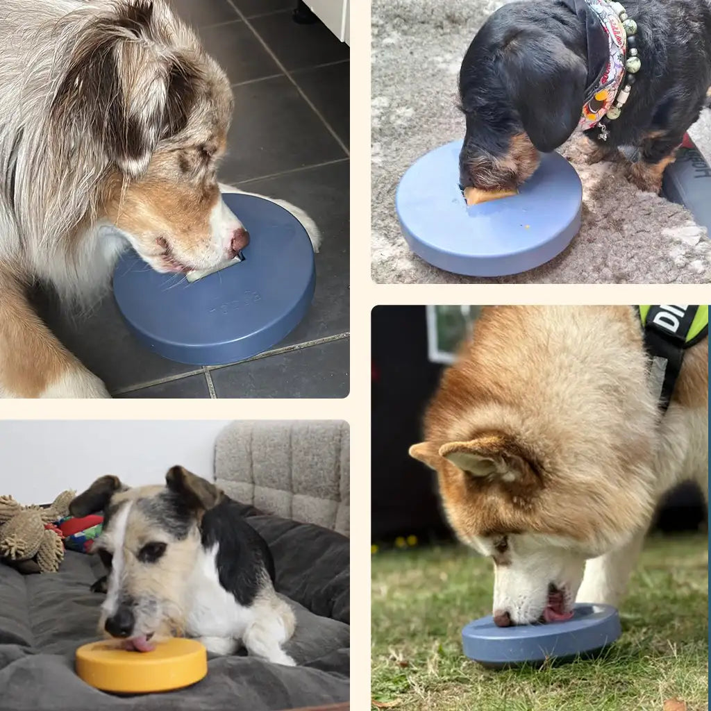 Einsteiger-Set BOGGL® M für große Hunde (15-30 kg): Schleckspielzeug + Form