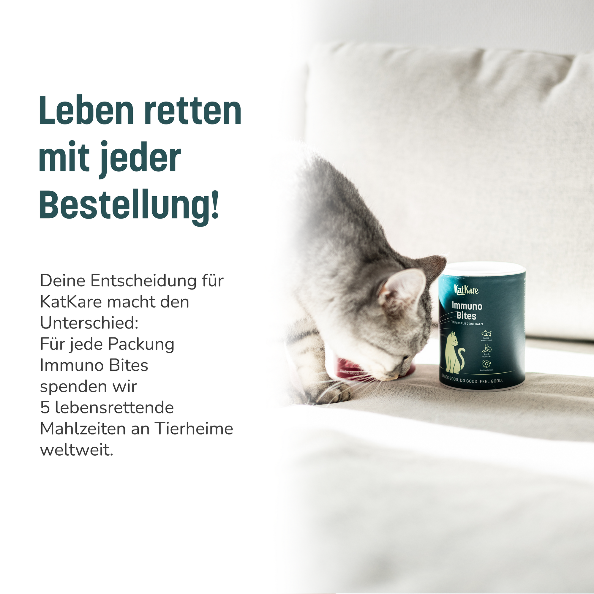 KatKare - Immuno Bites - Vital Snack zur Stärkung des Immunsystems deiner Katze (150 g)