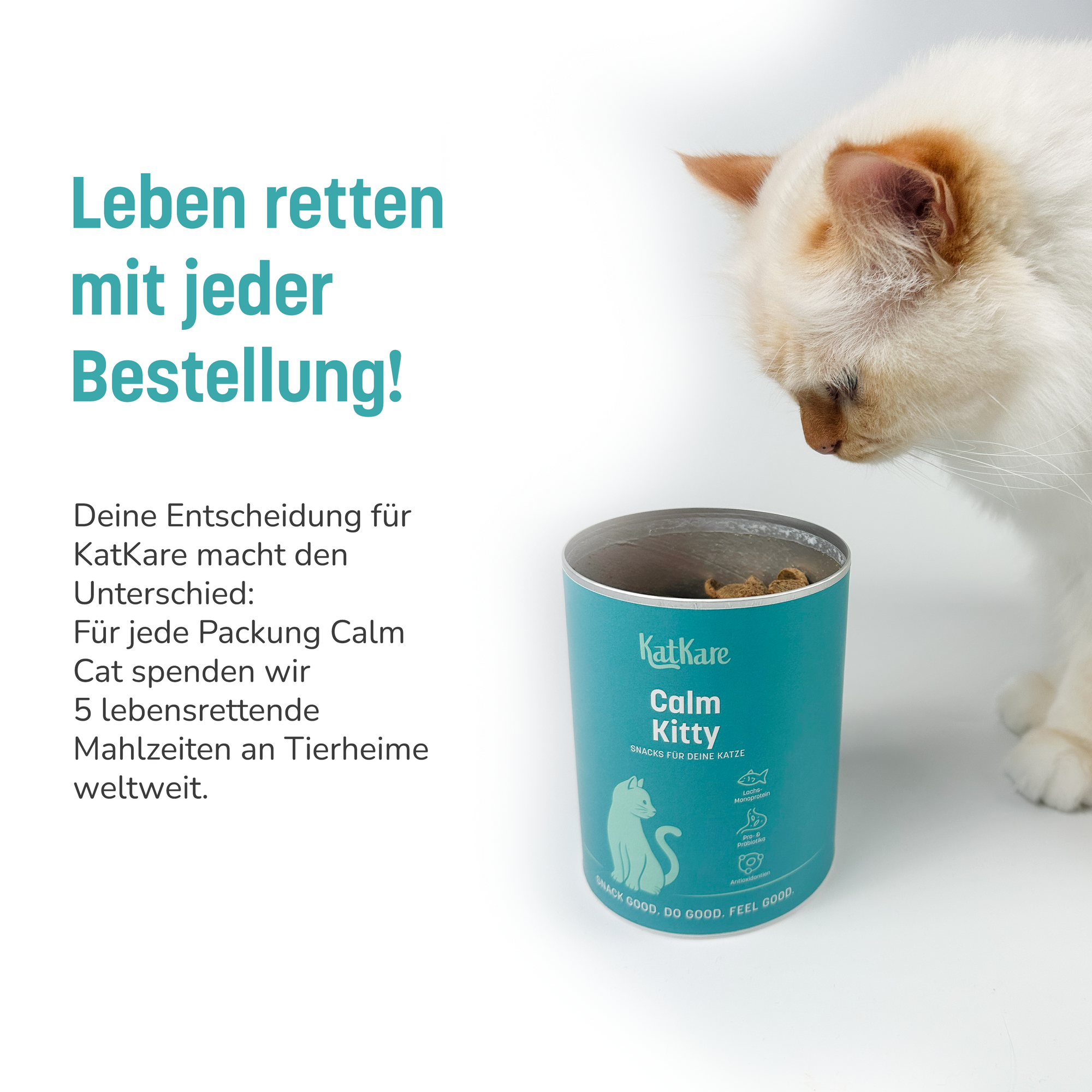 KatKare - Calm Cat - Vital Snack zur natürlichen Beruhigung deiner Katze (150 g)