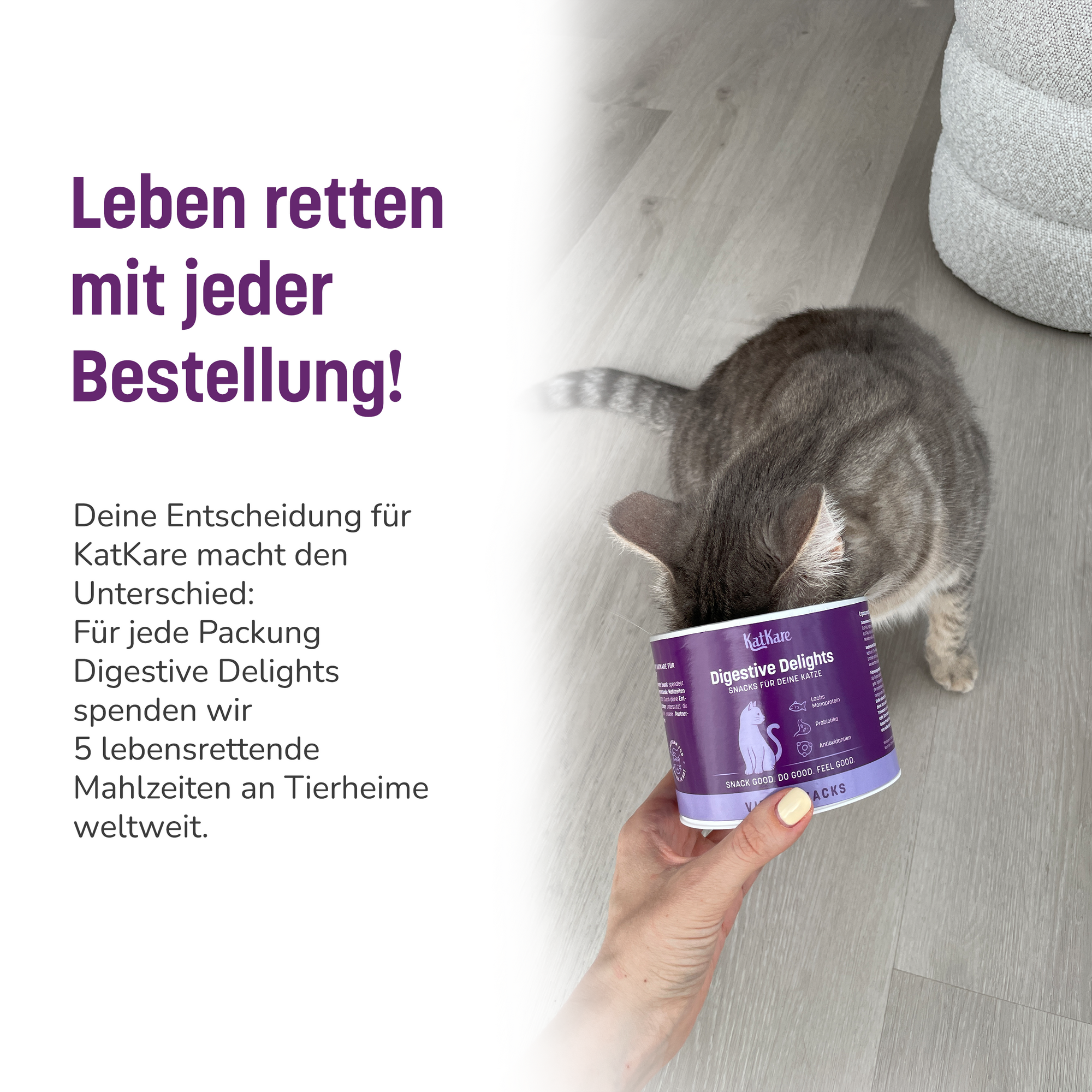 KatKare - Digestive Delights - Vital Snack für die Gesunde Verdauung und Darmflora deiner Katze