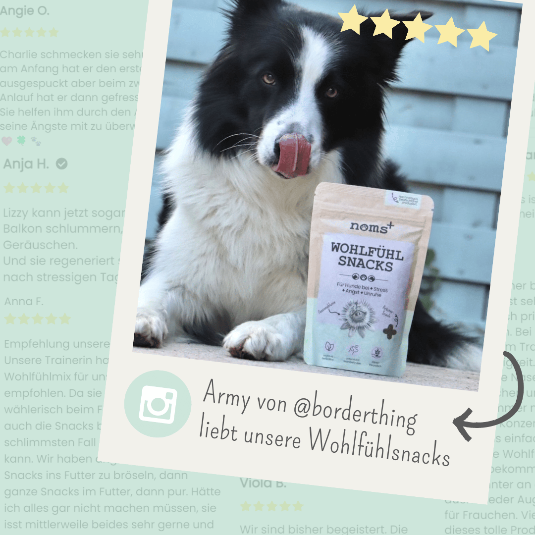 noms+ Wohlfühlsnacks für Hunde bei Stress, Angst, Unruhe &amp; Hyperaktivität