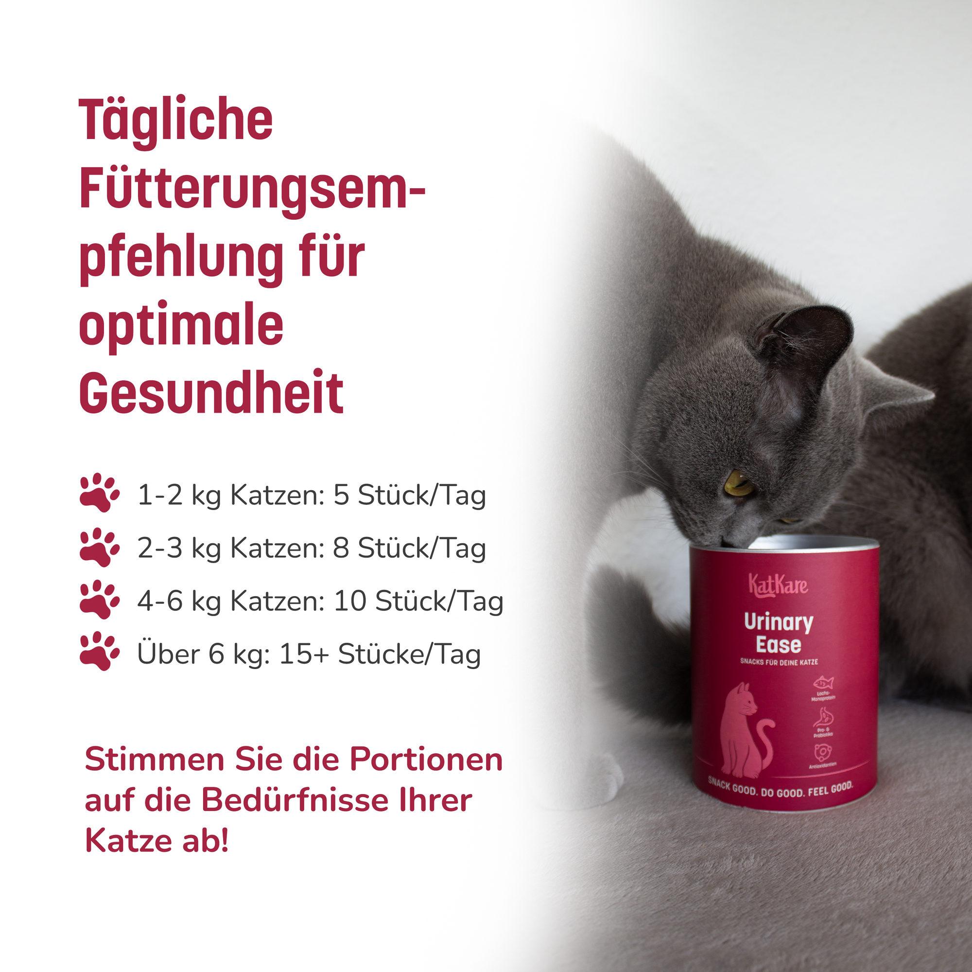 KatKare - Urinary Ease - Vital Snacks für die Unterstützung des Harnsystems deiner Katze (150 g)