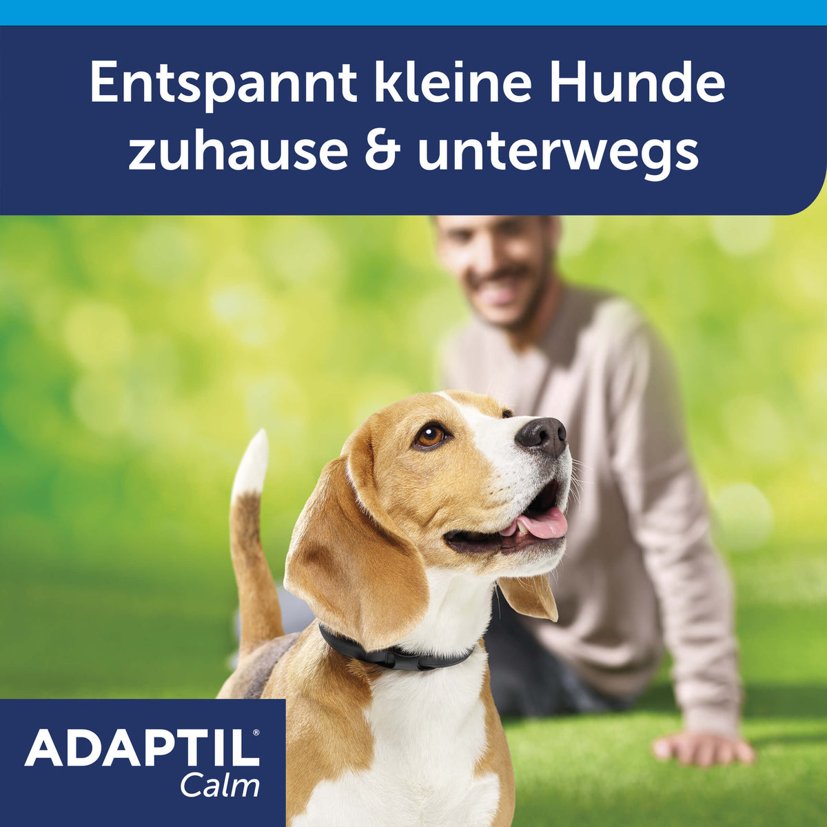 Adaptil Calm Halsband für Hunde