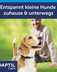 Adaptil Calm Halsband für Hunde