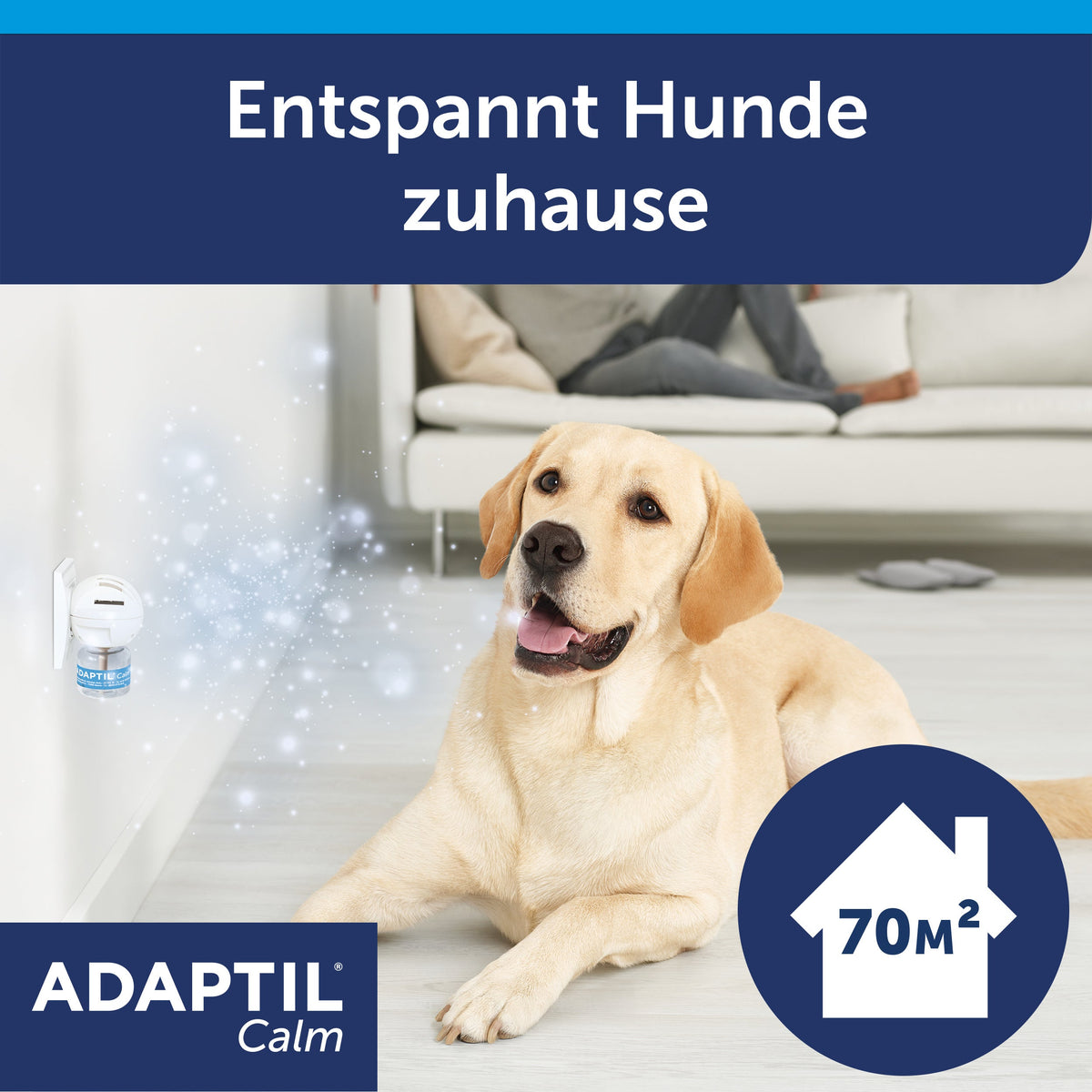 Adaptil Calm Start-Set Verdampfer mit Flakon