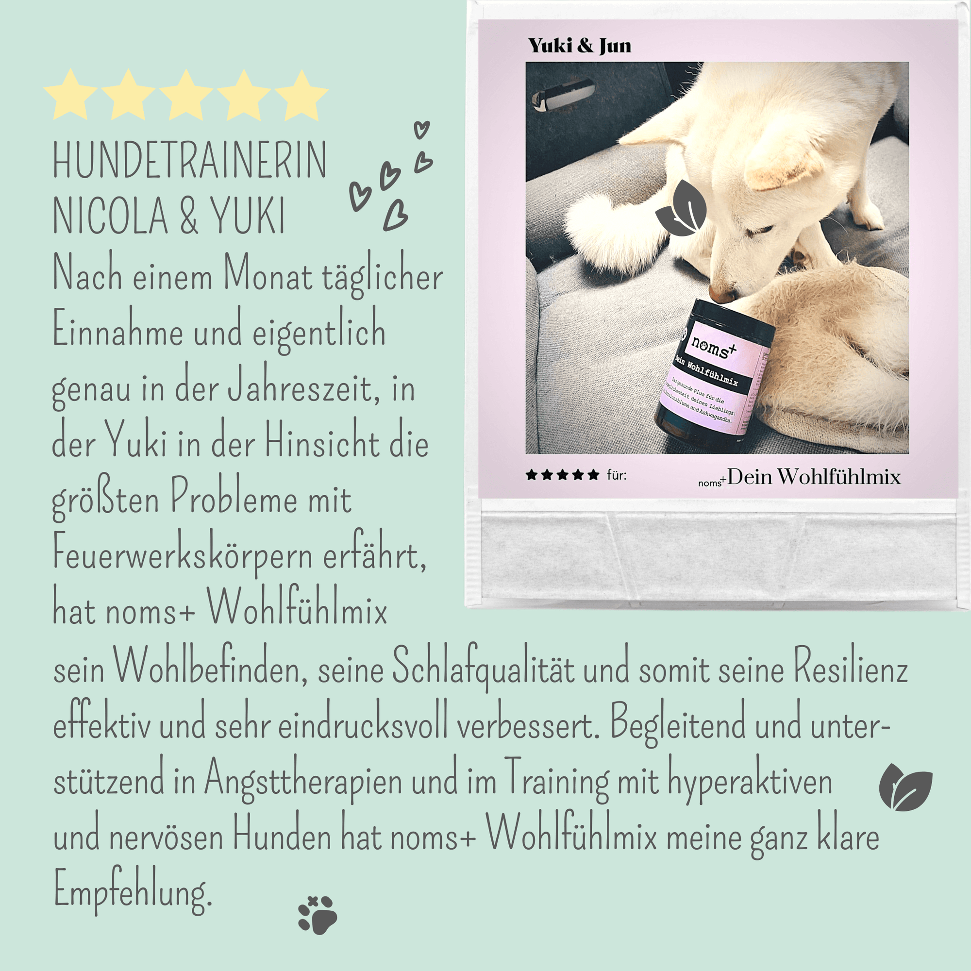 noms+ Wohlfühlmix für Hunde &amp; Katzen bei Stress, Angst, Unruhe &amp; Hyperaktivität