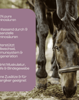 Amino Horse Aminosäuren Vitalmix 650g Monatspackung
