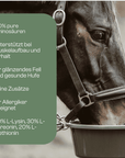 Horse Aminosäuren Basismix 650g Monatspackung