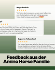 Horse Aminosäuren Basismix 650g Monatspackung