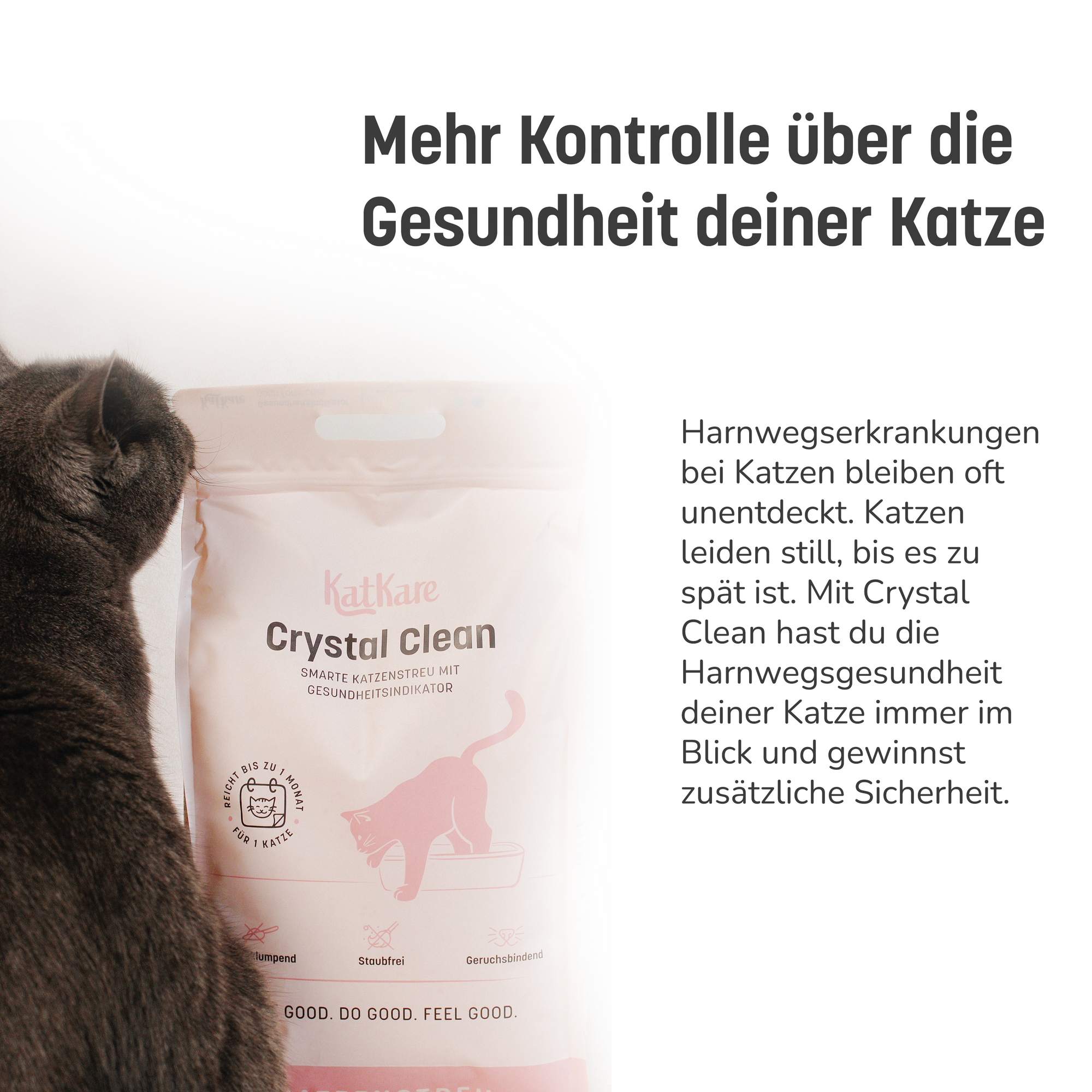 KatKare - Crystal Clean - Smarte Katzenstreu mit Gesundheitsindikator