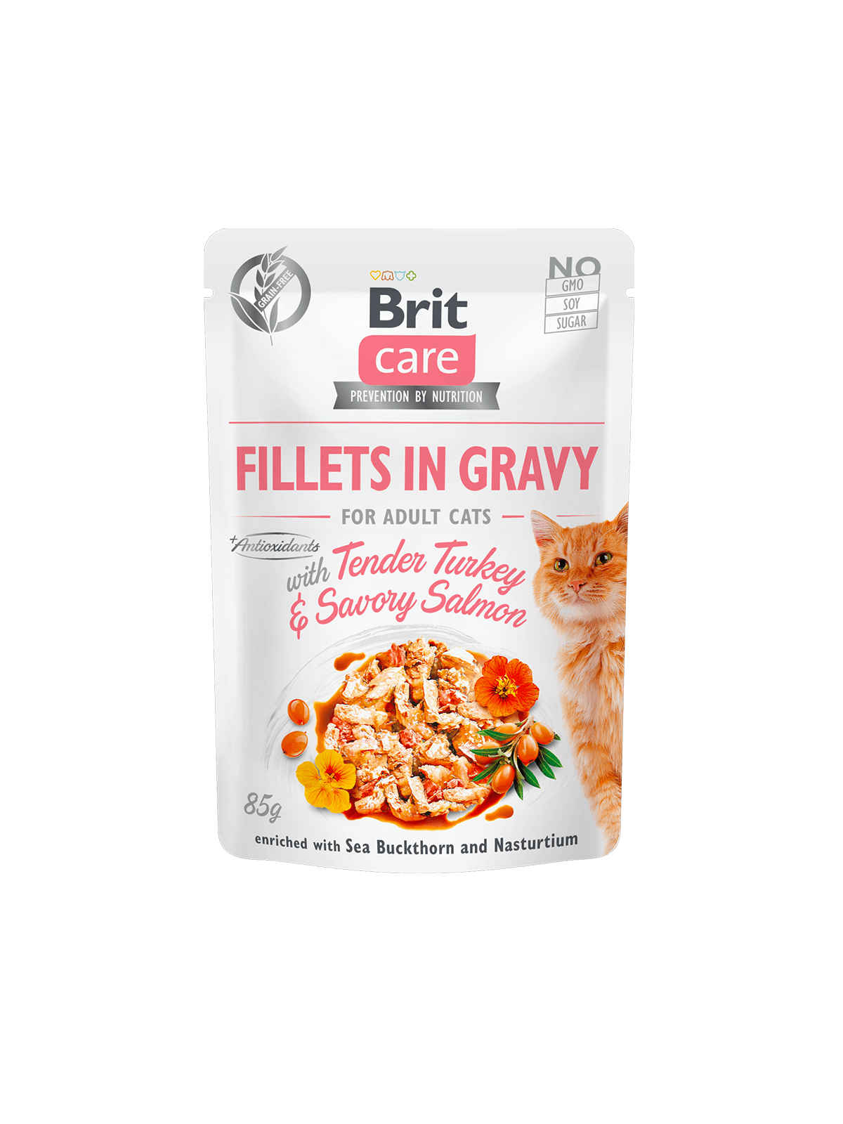 BRIT Care Nassfutter Katze Fillets in Gravy with Tender Turkey & Savory Salmon