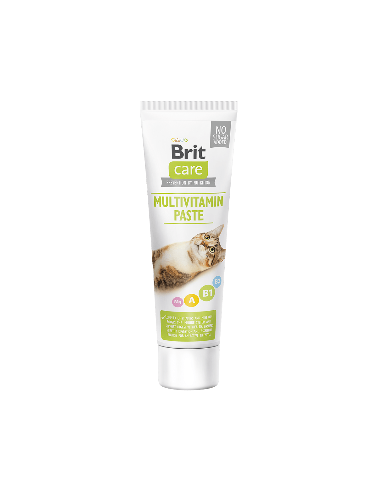 BRIT Premium by Nature Cat Paste Multivitamin, Snacks