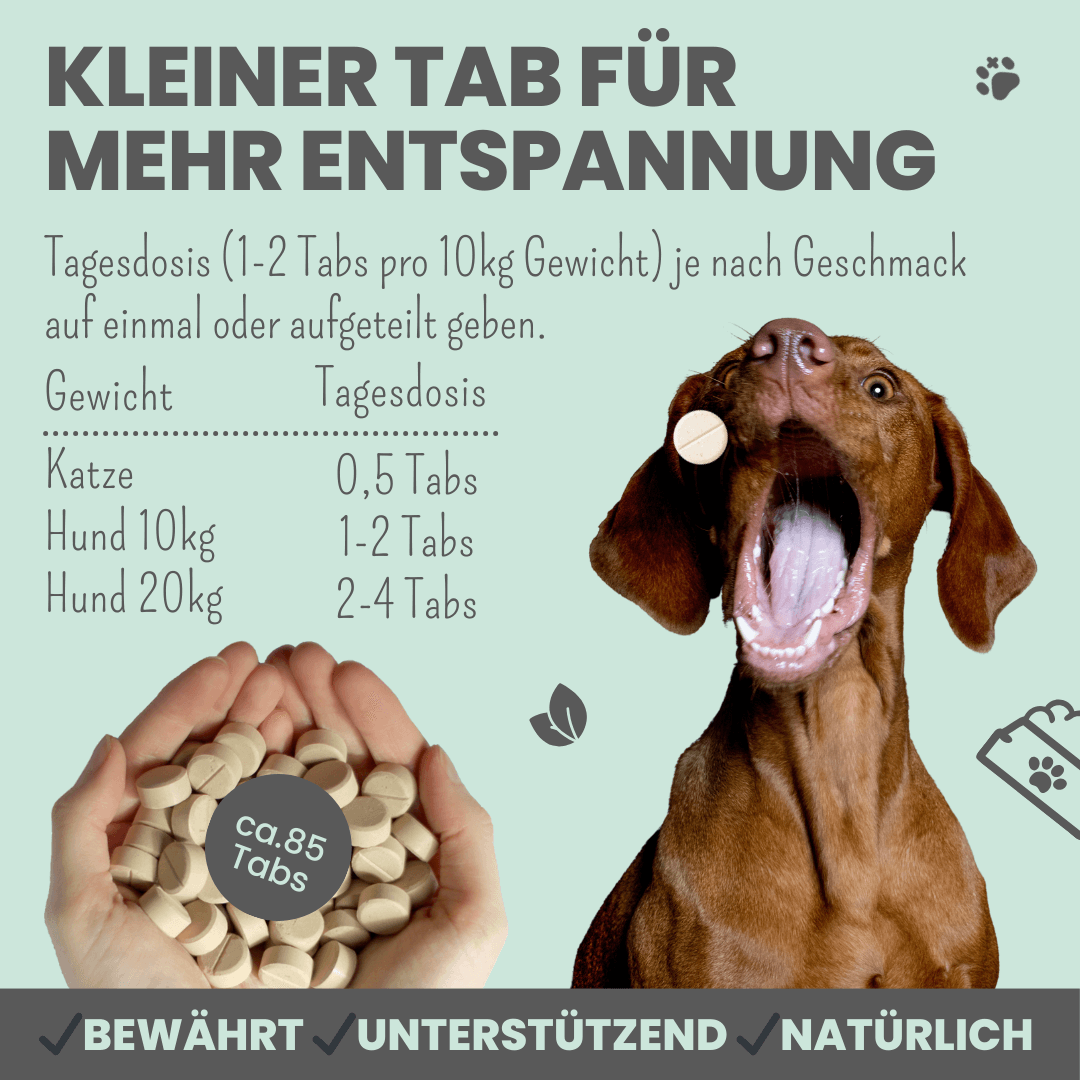 noms+ Wohlfühltabs für Hunde bei Stress, Angst, Unruhe und Hyperaktivität