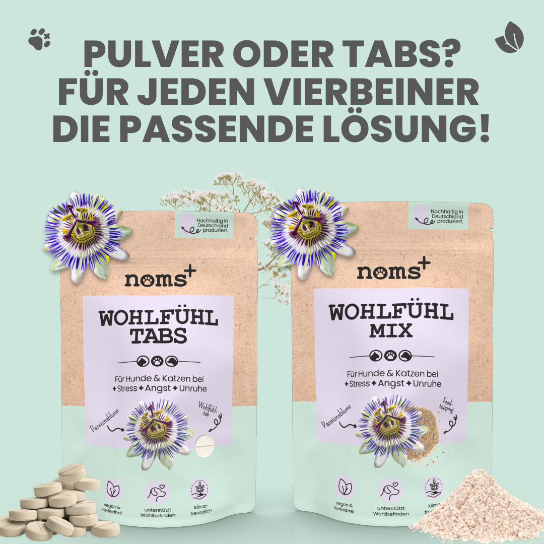 noms+ Wohlfühlmix für Hunde &amp; Katzen bei Stress, Angst, Unruhe &amp; Hyperaktivität