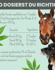 noms+ 15% CBD Tropfen für Hunde und Pferde